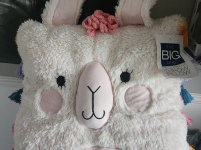 Giant Throw Pillows