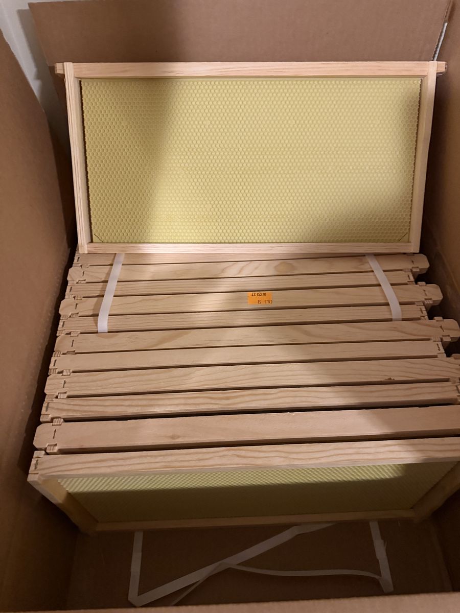 New Beekeeping Deep Feames