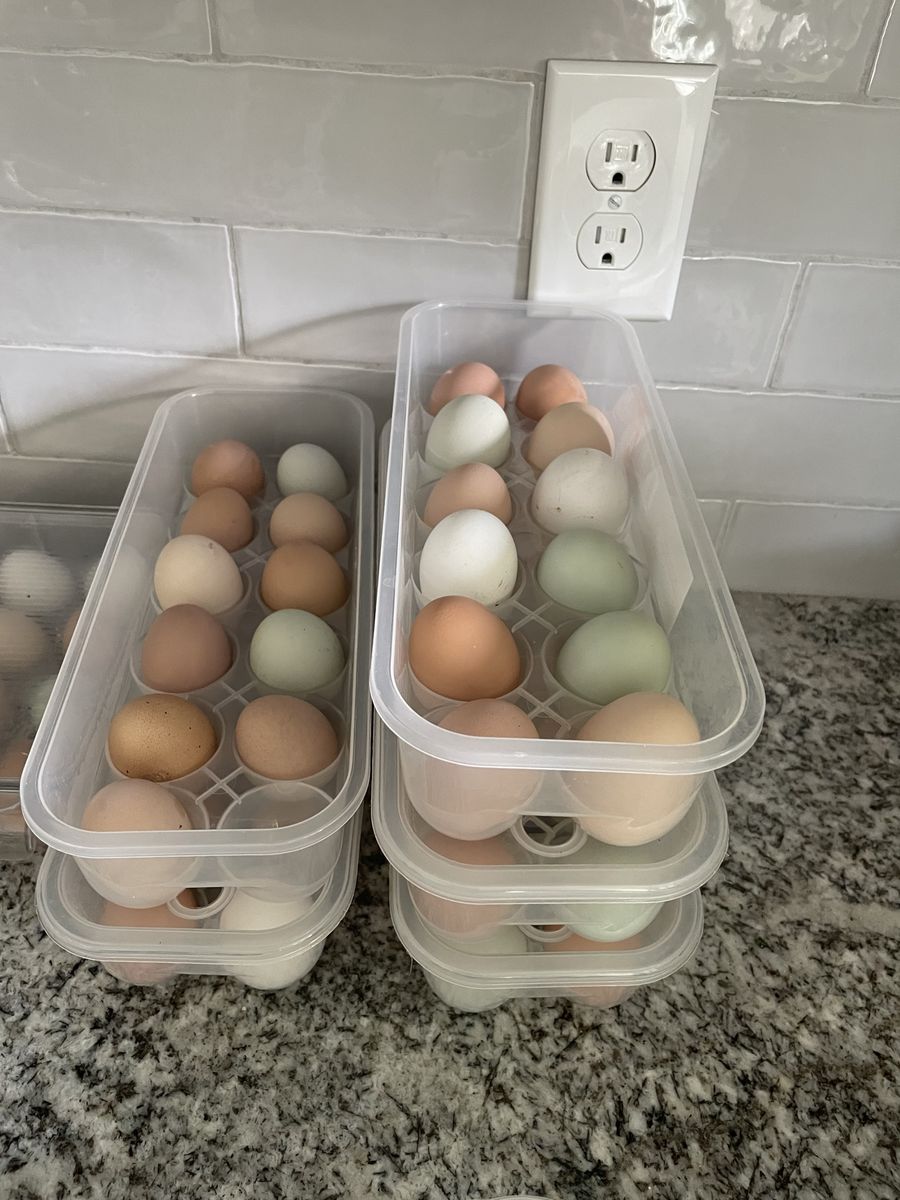 $3 a dozen eggs