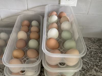 $3 a dozen eggs