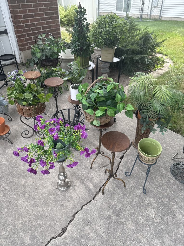 Main image 8