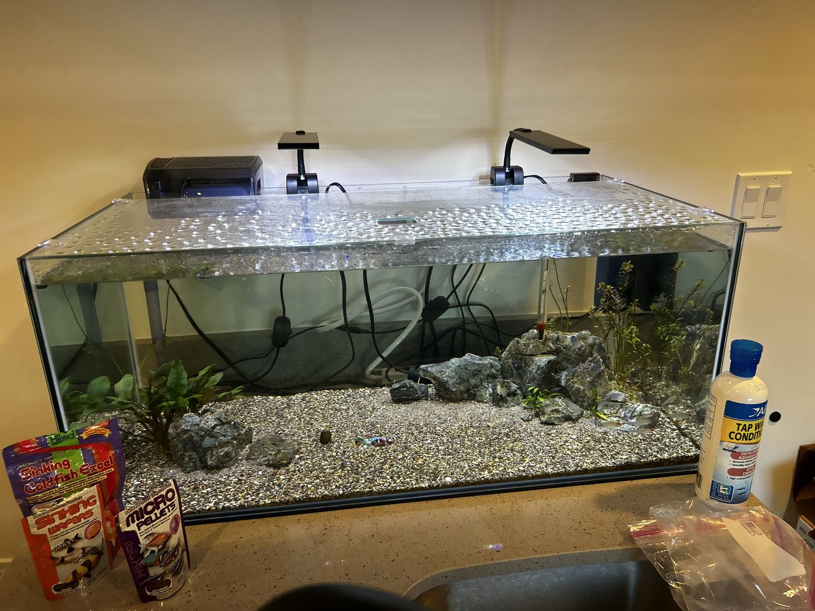 Fish tank + all hookups and fish included