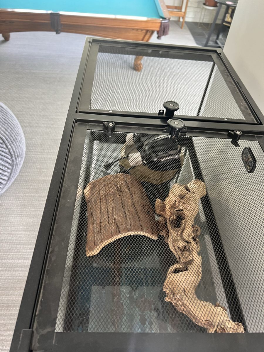 Main image 3