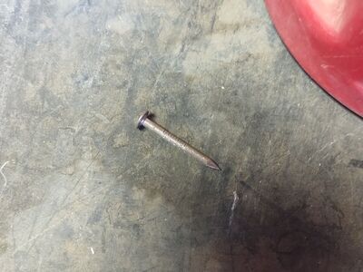 1 1/4" Round Concert Nails