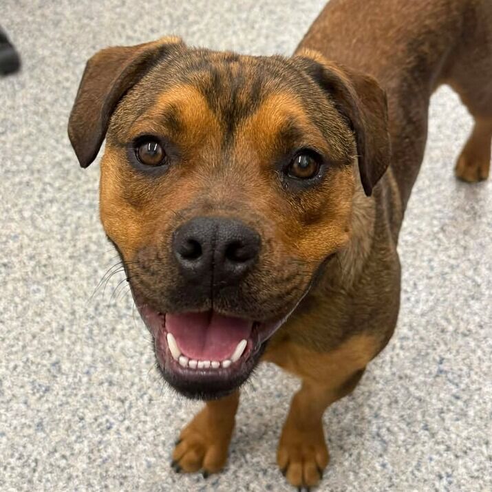 Hello my name is River