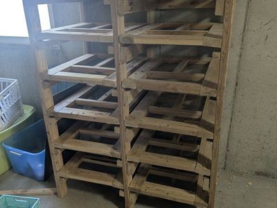 rat breeder rack