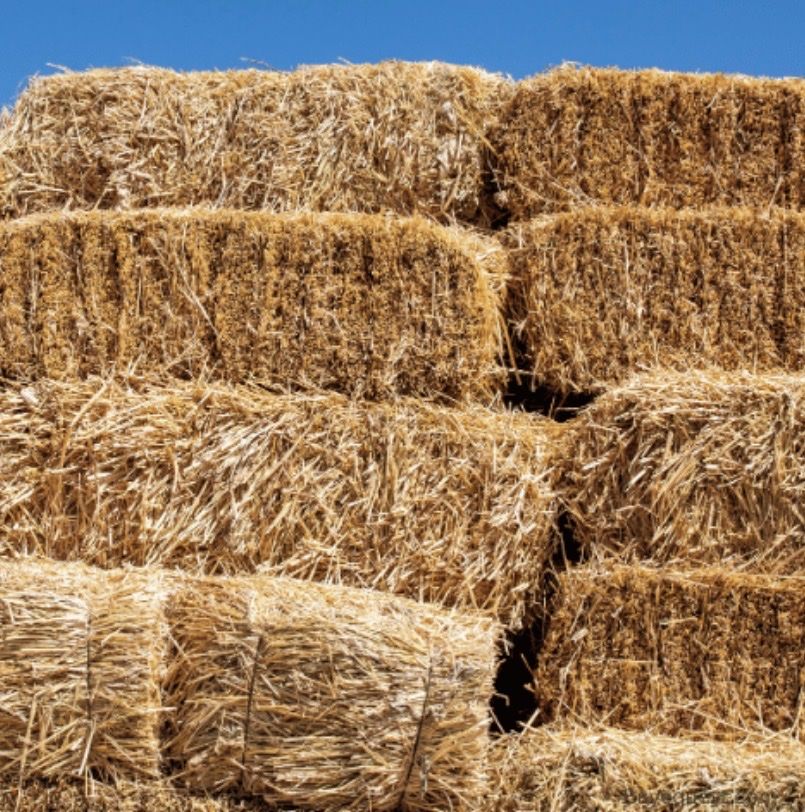 35 inch straw bales 