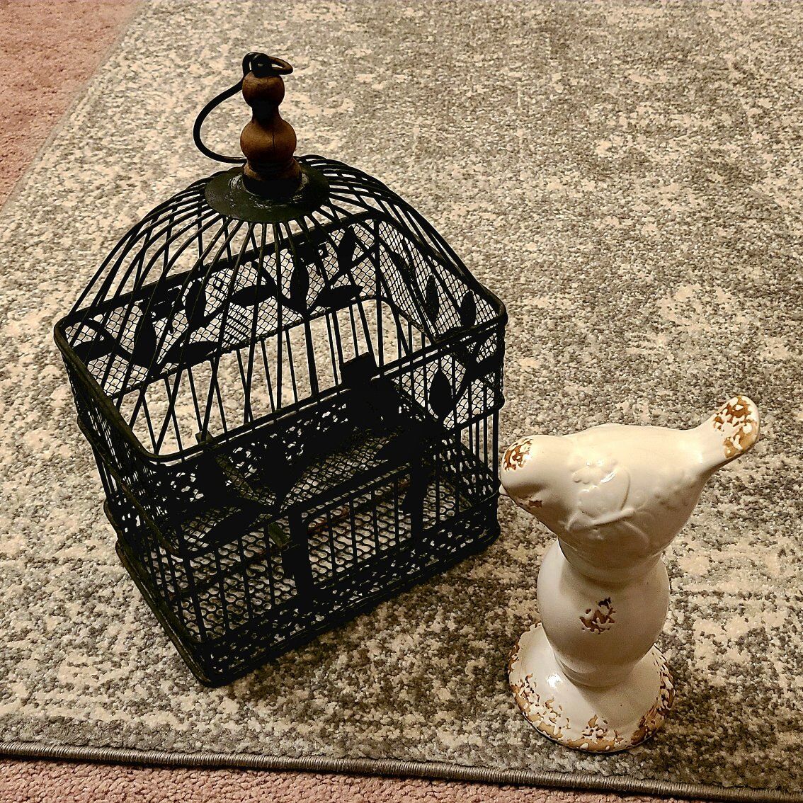 Bird Cage & Bird