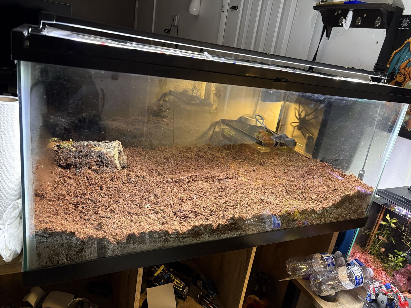 40 gallón terrarium