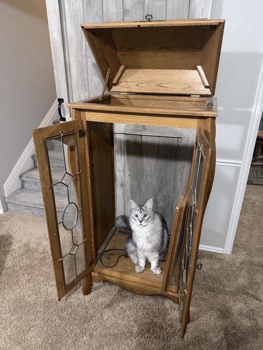 Vintage Oak Wood Electronic Display Cabinet with Glass Doors Record Player Topper - Cat Not Included