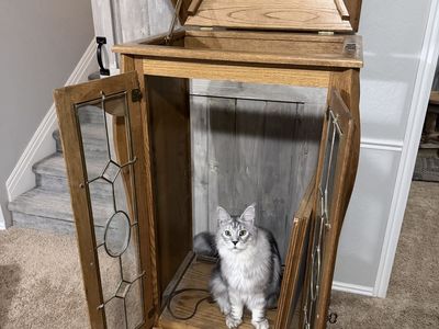 Vintage Oak Wood Electronic Display Cabinet with Glass Doors Record Player Topper - Cat Not Included