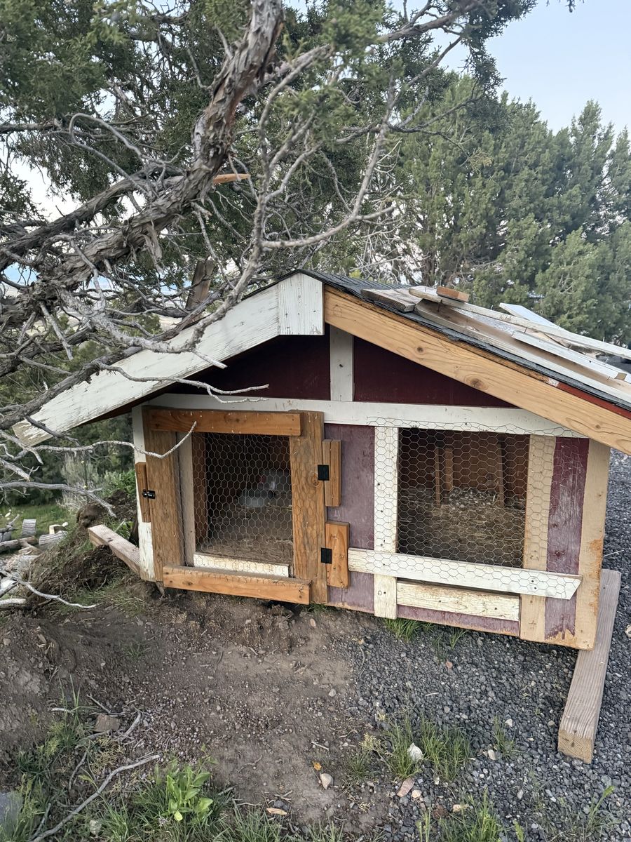 Large Chicken Coop