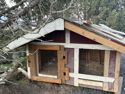 Large Chicken Coop