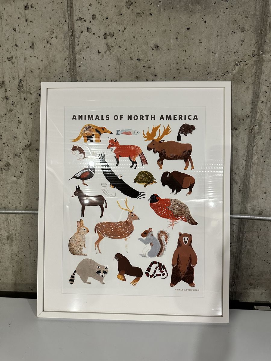 Small Adventure Framed Animals of North America Print Art Decor
