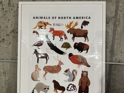 Small Adventure Framed Animals of North America Print Art Decor