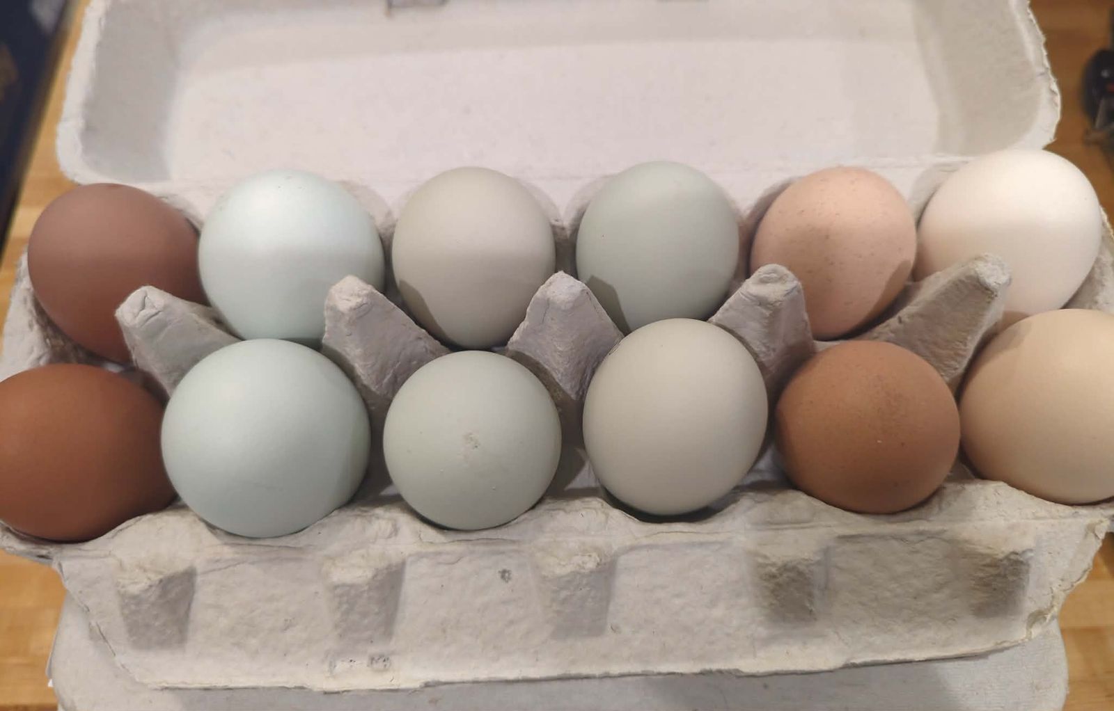 Hen's Choice Hatching Eggs