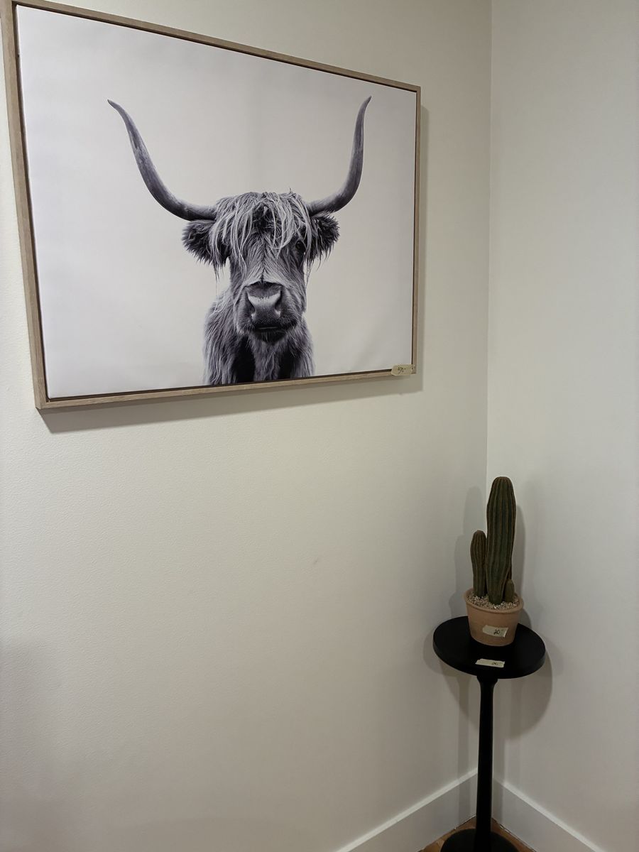 Main image 11