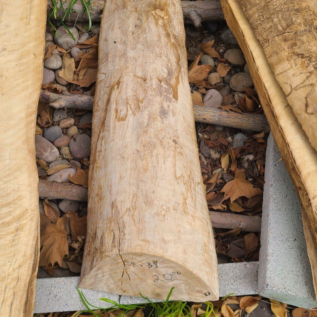 #2 Cottonwood Slab, $20.00 cssh