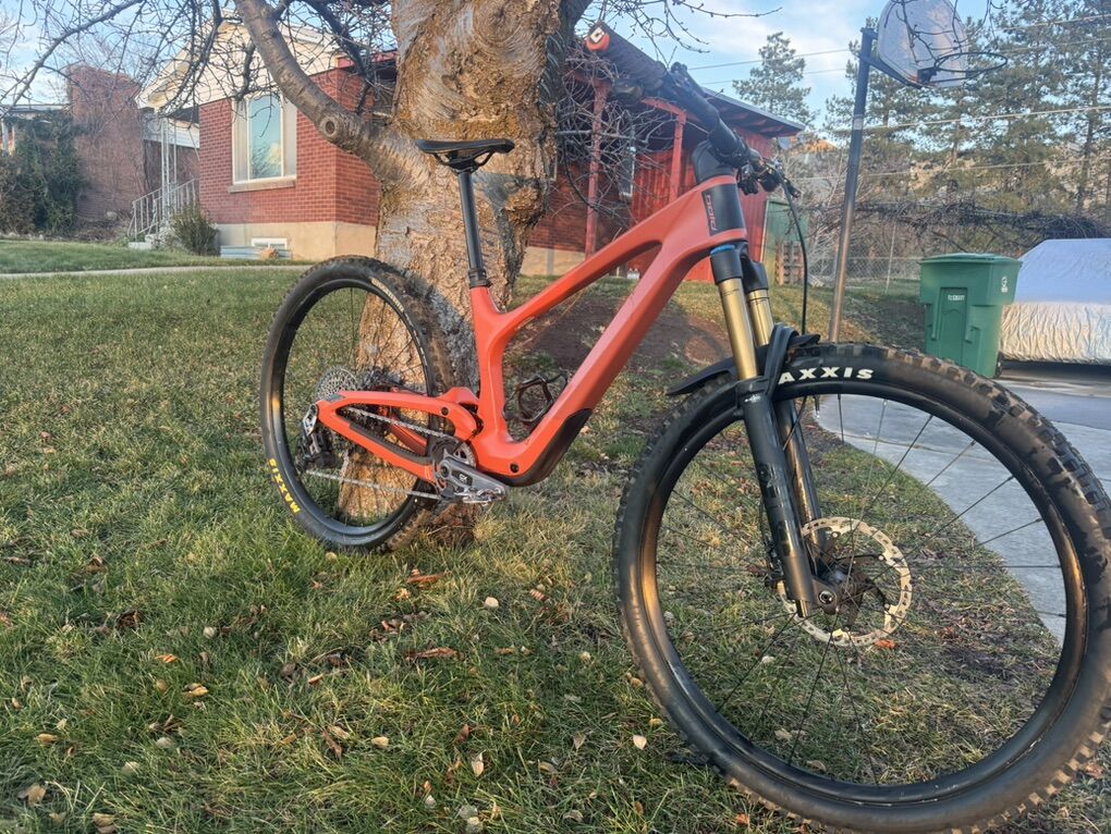 BOLD LINKIN (Lt) 2024 Medium