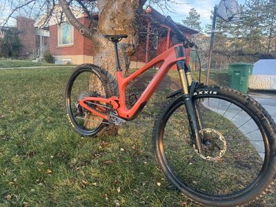 BOLD LINKIN (Lt) 2024 Medium