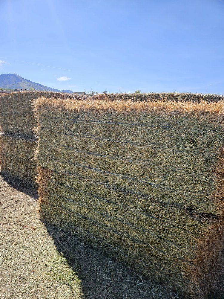 8 bales of 3x3 grass hay