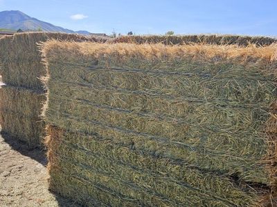 8 bales of 3x3 grass hay