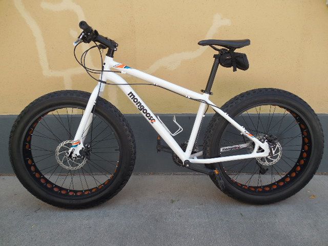 Mongoose Fat Tire Bike