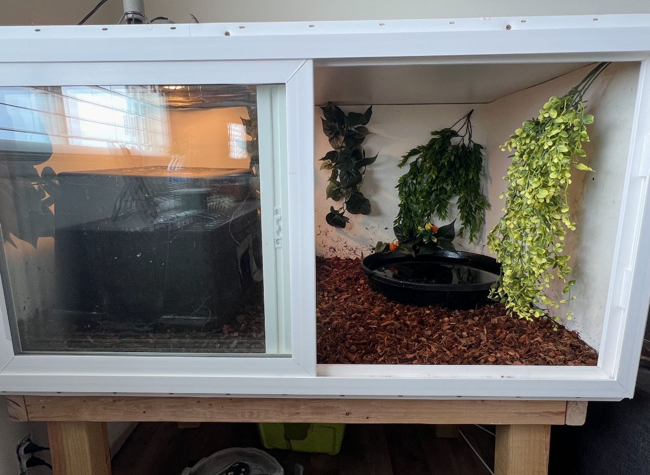 Reptile Cage