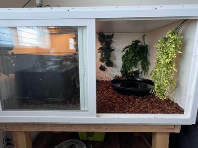 Reptile Cage