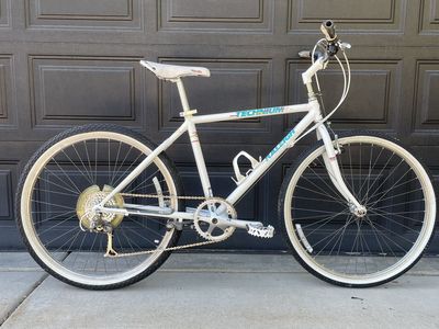 Raleigh Technium Vintage Gravel/Mountain Bike