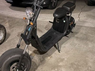 electric scooter/moped
