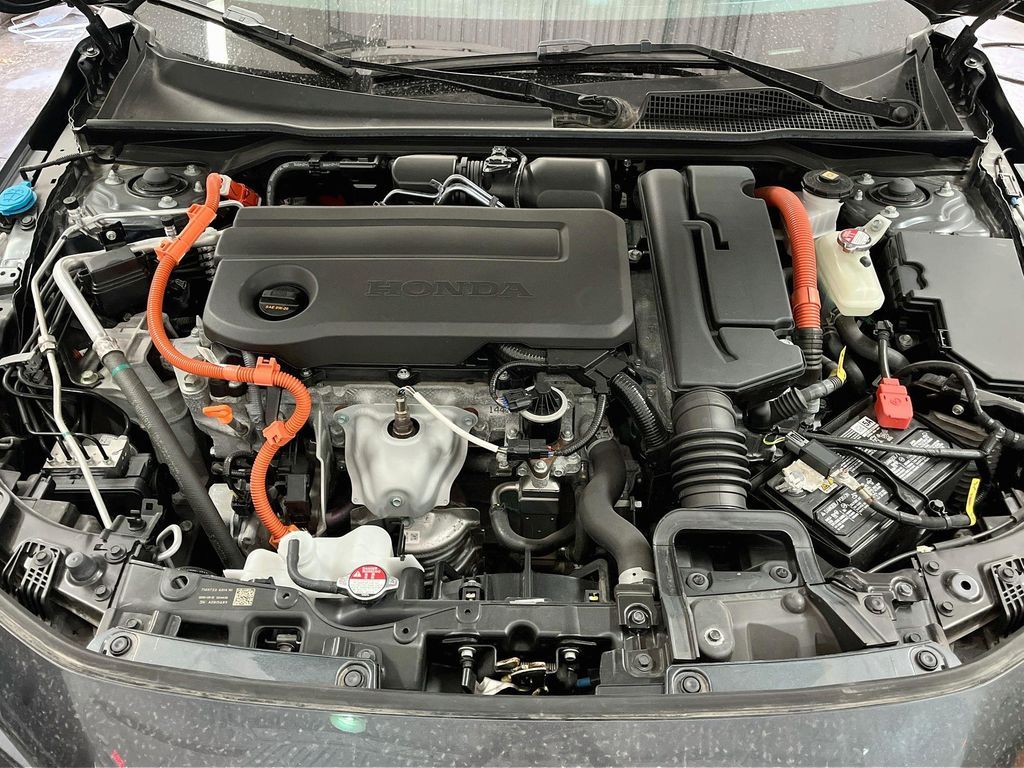 Main image 31