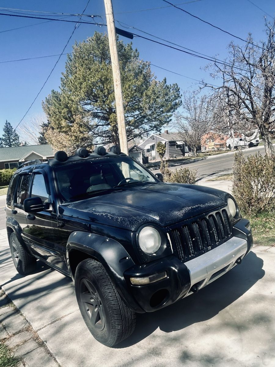 2003 JEEP LIBERTY Renegade