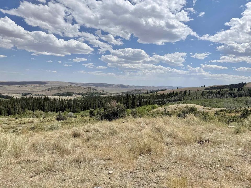 Main image 45