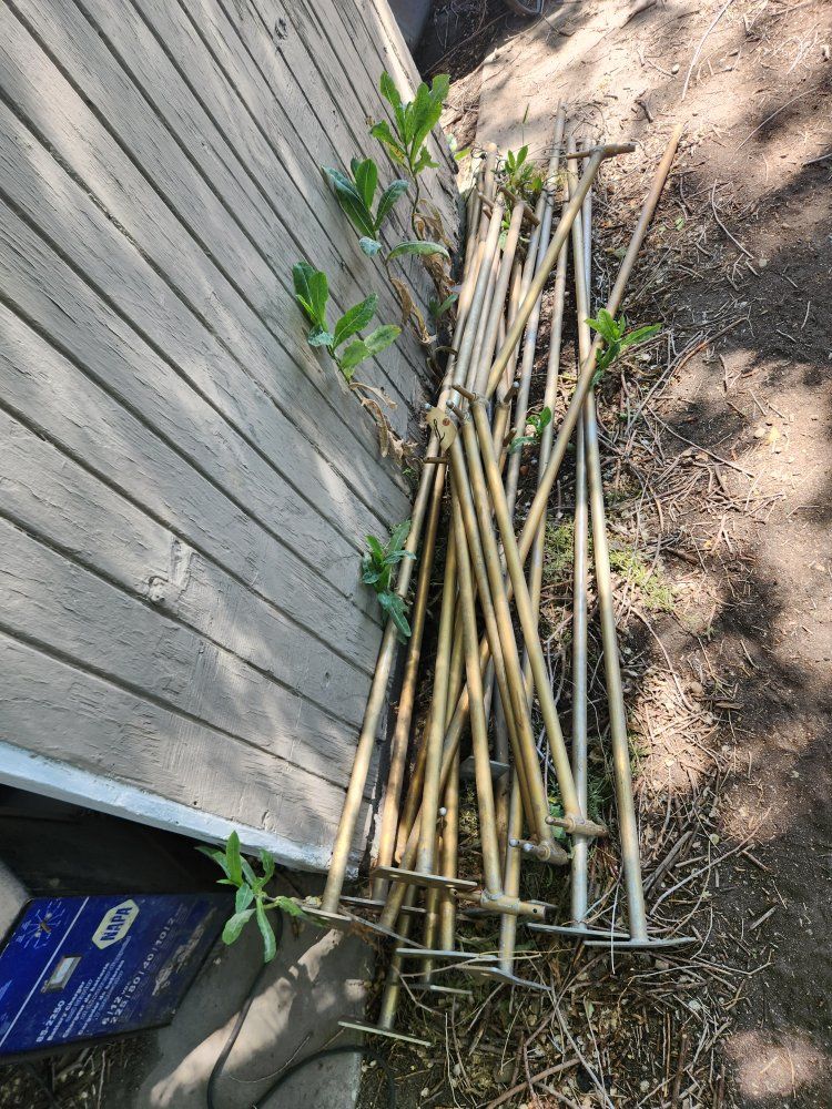 Main image 6