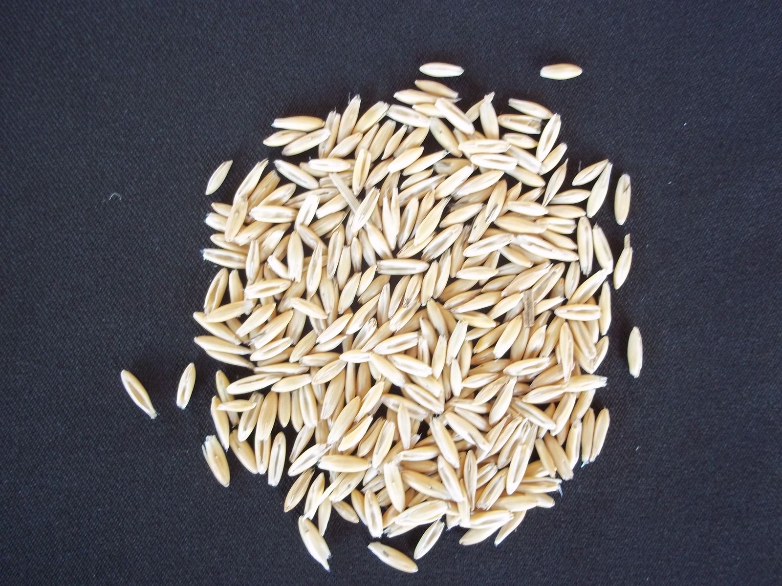 Whole Oats