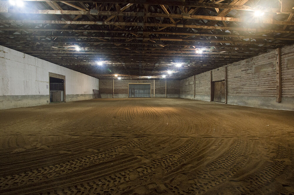 Horse Boarding near Smith and Edwards