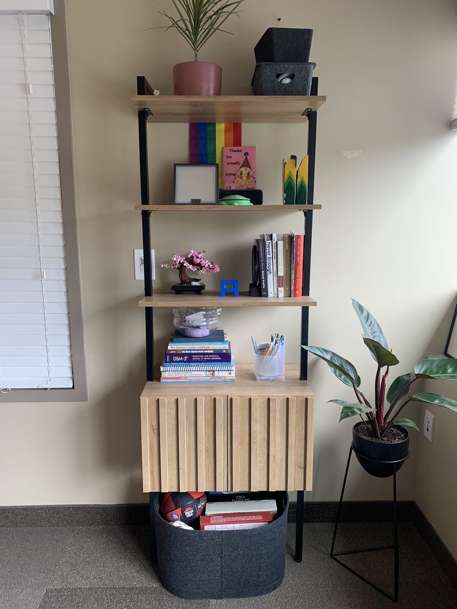 Ladder Book Shelf