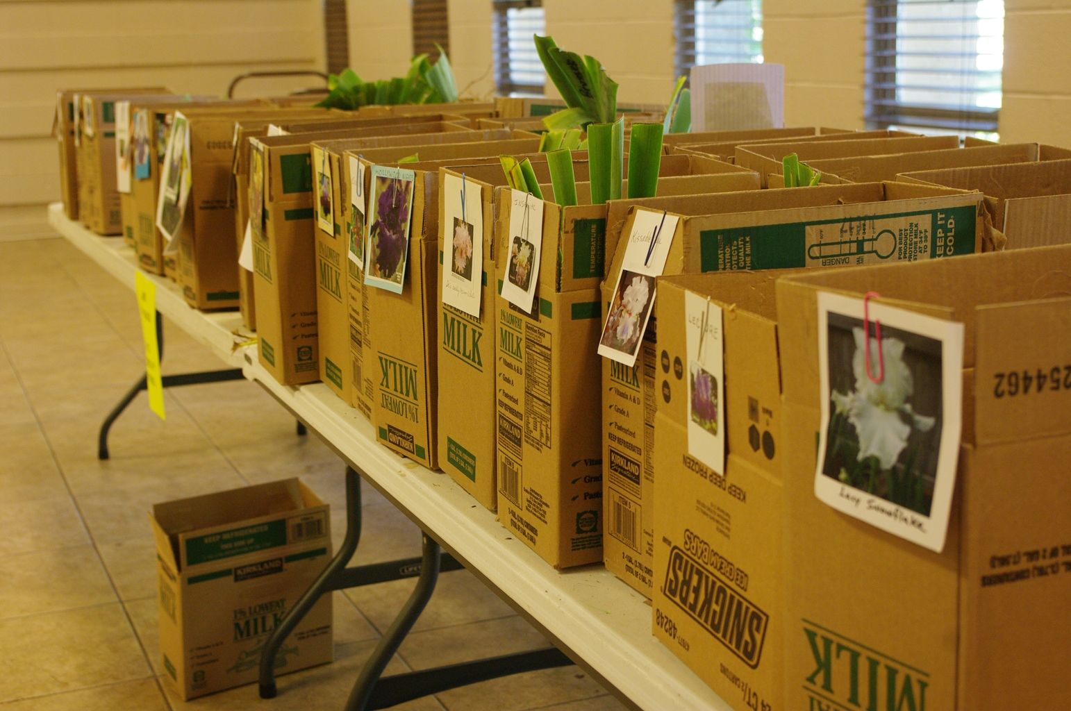 Main image 6
