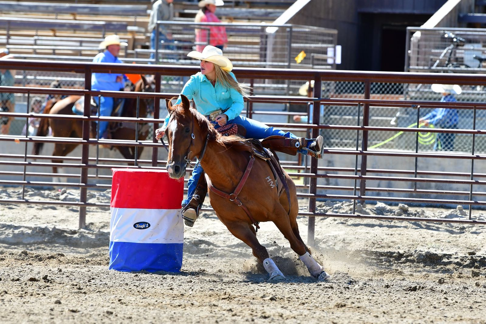 Barrel horse