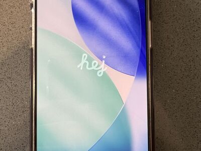 iPhone 15 pro max with case and screen protector