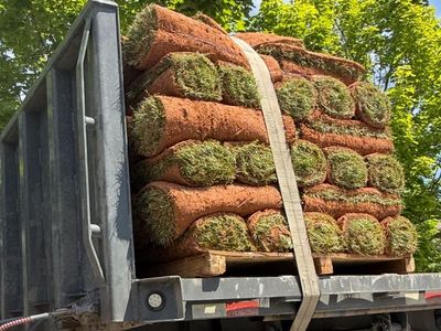 Sod - Kentucky Bluegrass - sod Install
