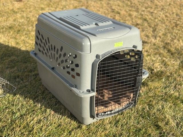Dog kennel carrier 32"L Intermediate
