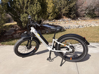 RadRover 6 Plus Step-Thru Ebike – White and Charcoal