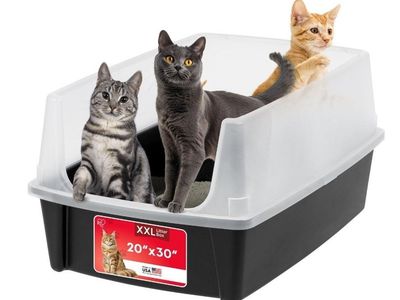 XX-Large Cat Litter Box, 30"L x 20"W x 14"H, Black