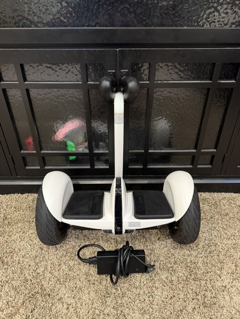 Segway Ninebot S
