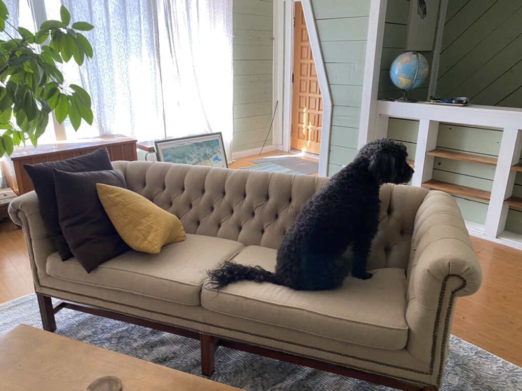 Chesterfield Type Sofa MCM Midcentury