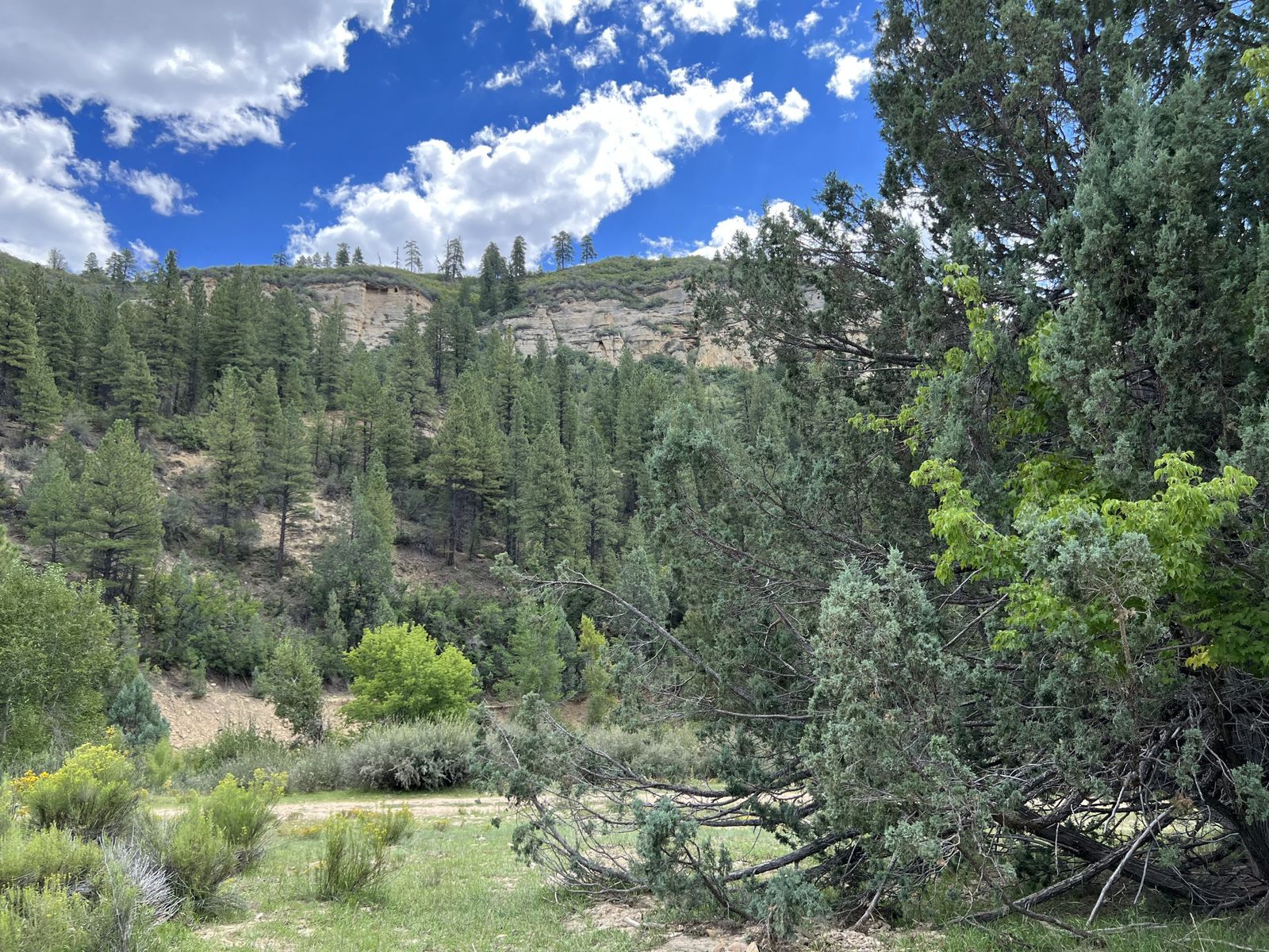 Main image 6