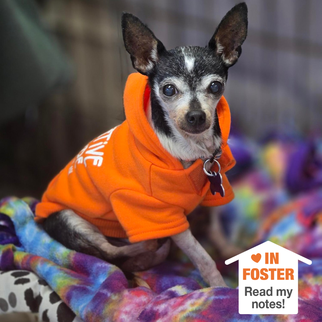 Hello my name is Lois