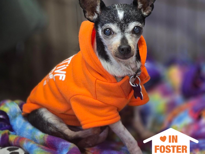 Hello my name is Lois